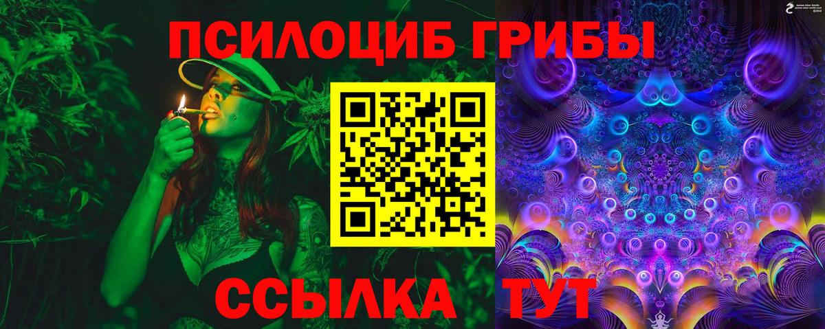 Галлюциногенные грибы Psilocybe  Псилоцибиновые грибы мицелий  Ростов-на-Дону  Вход с VPN 